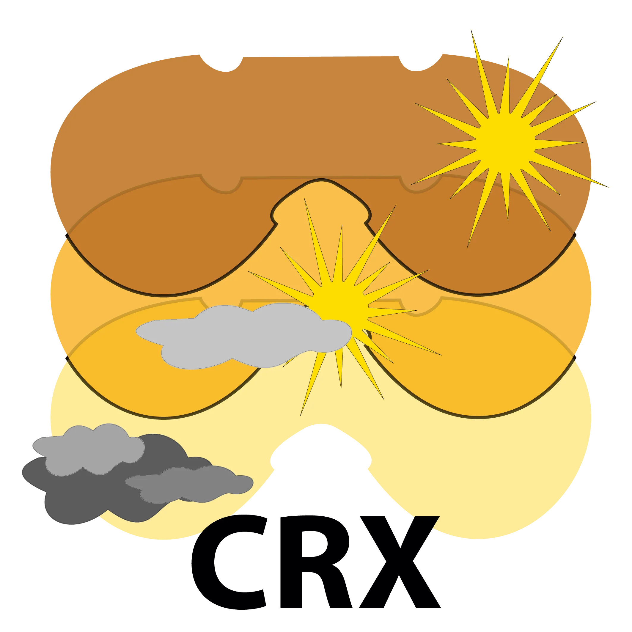 Lentes Salice modelo 020 Negro/Verde Rwx By Nxt Fotocromatica